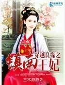 穿越良缘之镇南王妃