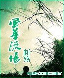 《风华流伤》