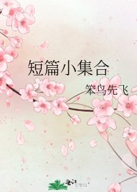 短篇小集和