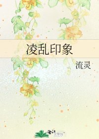 凌乱印象