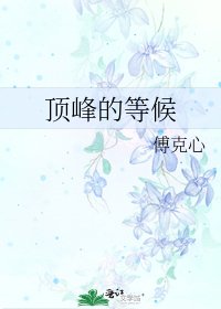 顶峰的等候