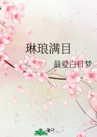 琳琅满目