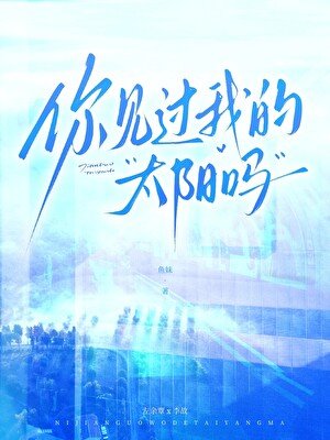 《你见过我的太阳吗》