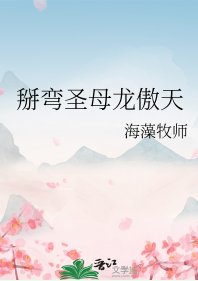 《掰弯圣母龙傲天》