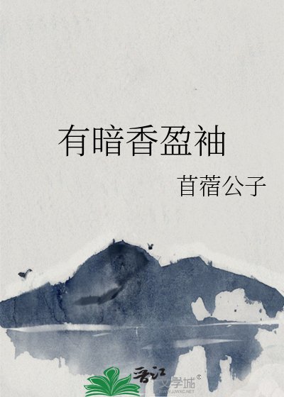 有暗箱盈袖
