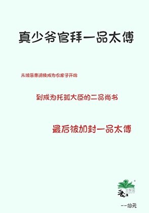真少爷官拜一品太傅
