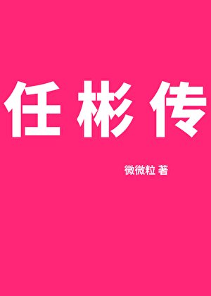 任彬传